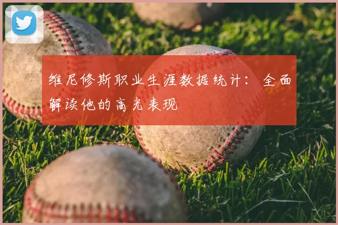 维尼修斯职业生涯数据统计：全面解读他的高光表现
