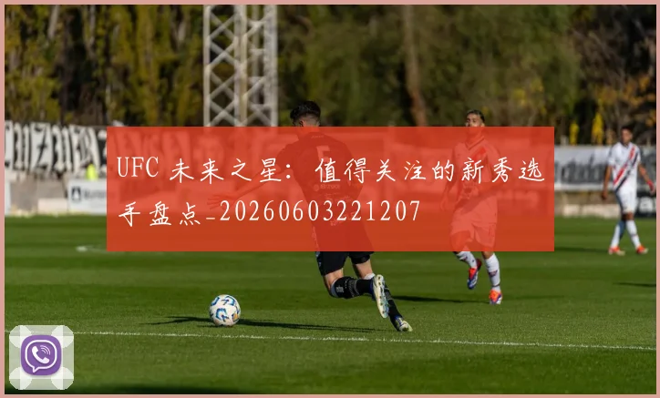 UFC 未来之星：值得关注的新秀选手盘点_20260603221207